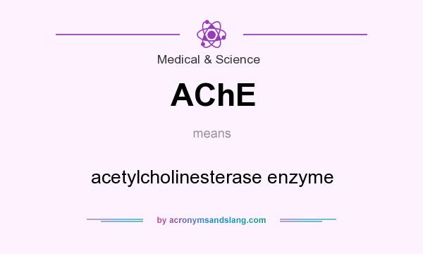 What does AChE mean? It stands for acetylcholinesterase enzyme
