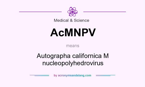 What does AcMNPV mean? It stands for Autographa californica M nucleopolyhedrovirus