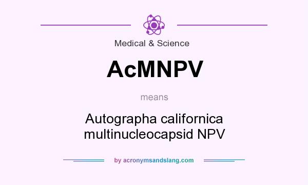 What does AcMNPV mean? It stands for Autographa californica multinucleocapsid NPV