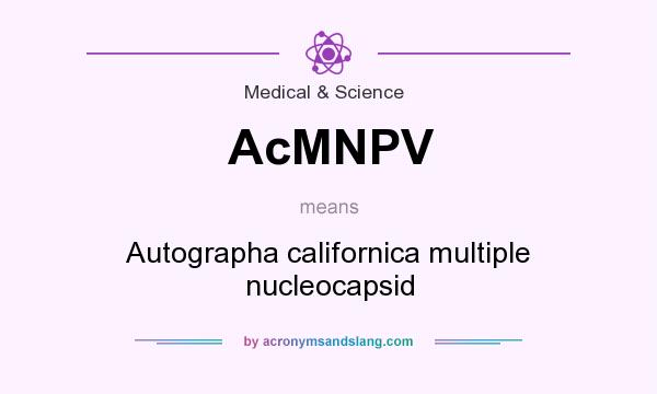 What does AcMNPV mean? It stands for Autographa californica multiple nucleocapsid