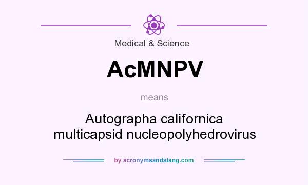 What does AcMNPV mean? It stands for Autographa californica multicapsid nucleopolyhedrovirus