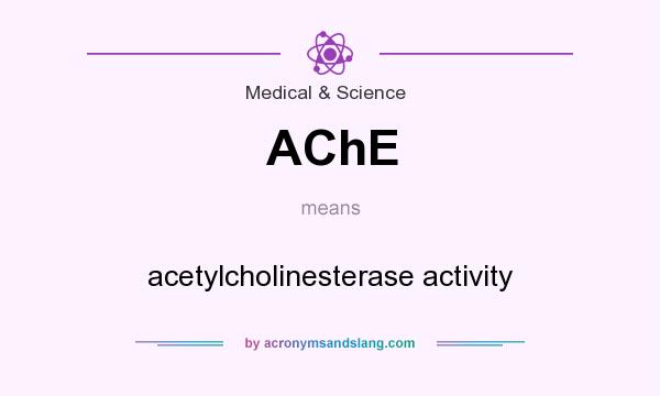 What does AChE mean? It stands for acetylcholinesterase activity
