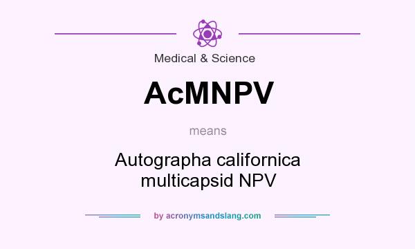 What does AcMNPV mean? It stands for Autographa californica multicapsid NPV