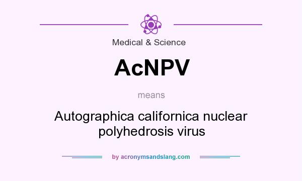 What does AcNPV mean? It stands for Autographica californica nuclear polyhedrosis virus