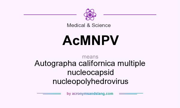 What does AcMNPV mean? It stands for Autographa californica multiple nucleocapsid nucleopolyhedrovirus