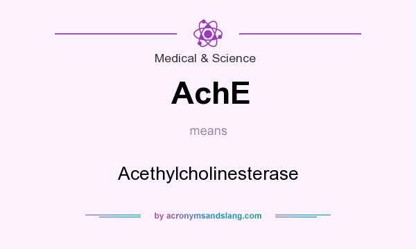 What does AchE mean? It stands for Acethylcholinesterase
