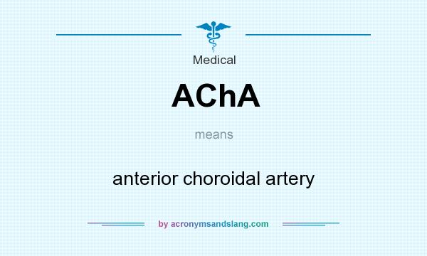 What does AChA mean? It stands for anterior choroidal artery