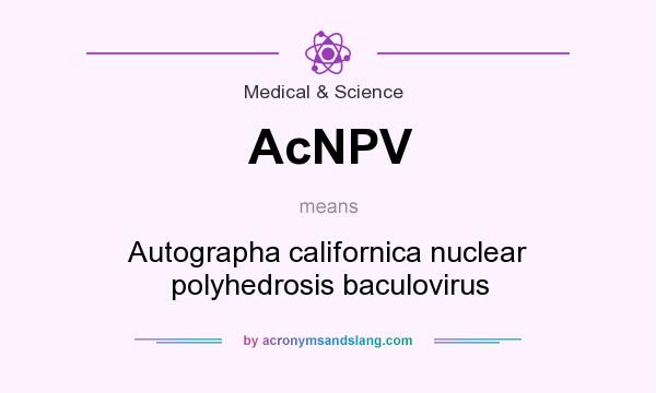 What does AcNPV mean? It stands for Autographa californica nuclear polyhedrosis baculovirus