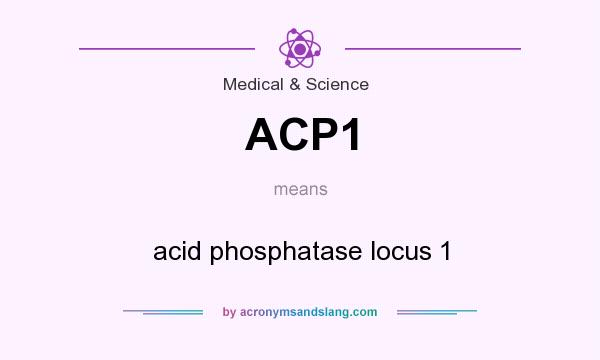 What does ACP1 mean? It stands for acid phosphatase locus 1