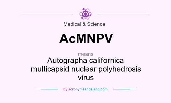 What does AcMNPV mean? It stands for Autographa californica multicapsid nuclear polyhedrosis virus