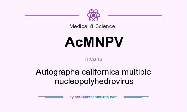 What does AcMNPV mean? It stands for Autographa californica multiple nucleopolyhedrovirus