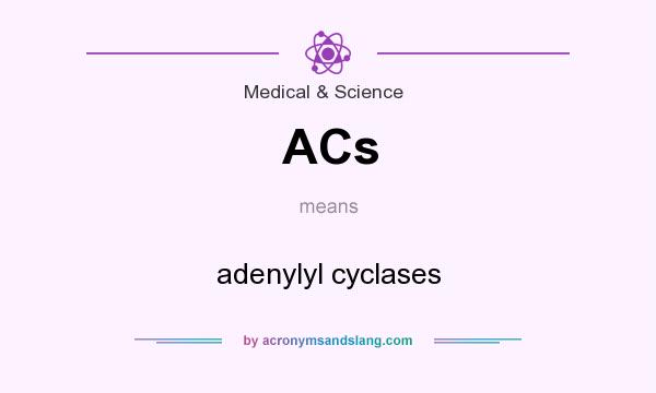 What does ACs mean? It stands for adenylyl cyclases