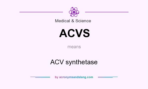What does ACVS mean? It stands for ACV synthetase