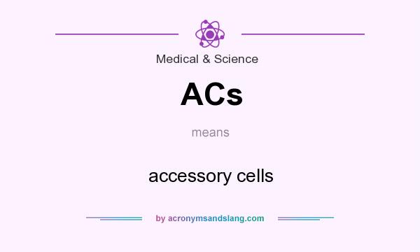 What does ACs mean? It stands for accessory cells