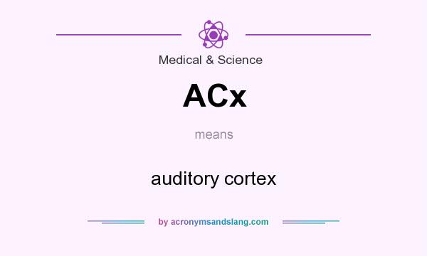 What does ACx mean? It stands for auditory cortex