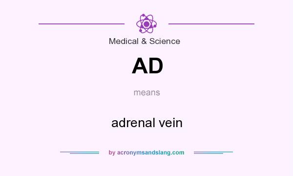 What does AD mean? It stands for adrenal vein