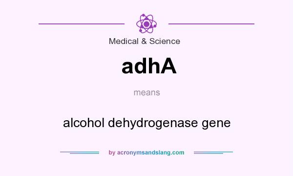 What does adhA mean? It stands for alcohol dehydrogenase gene