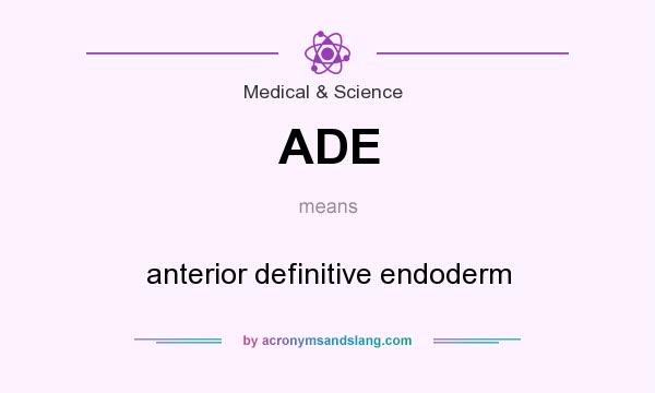 What does ADE mean? It stands for anterior definitive endoderm