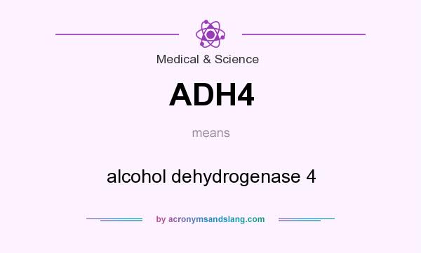 What does ADH4 mean? It stands for alcohol dehydrogenase 4