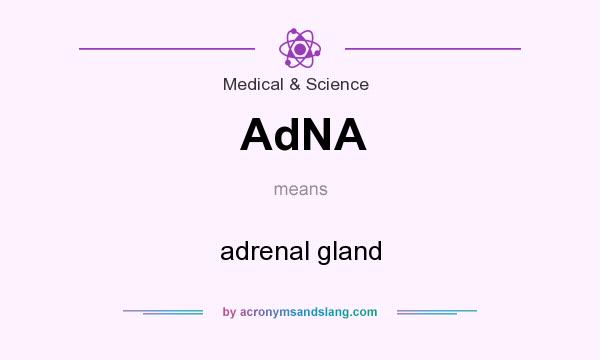 What does AdNA mean? It stands for adrenal gland
