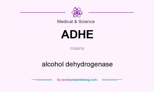 What does ADHE mean? It stands for alcohol dehydrogenase