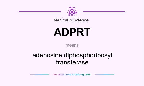 What does ADPRT mean? It stands for adenosine diphosphoribosyl transferase