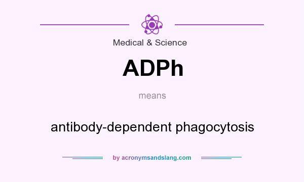 What does ADPh mean? It stands for antibody-dependent phagocytosis