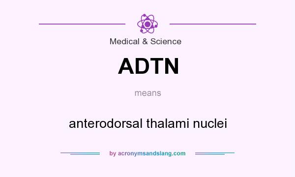 What does ADTN mean? It stands for anterodorsal thalami nuclei