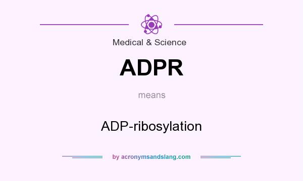 What does ADPR mean? It stands for ADP-ribosylation