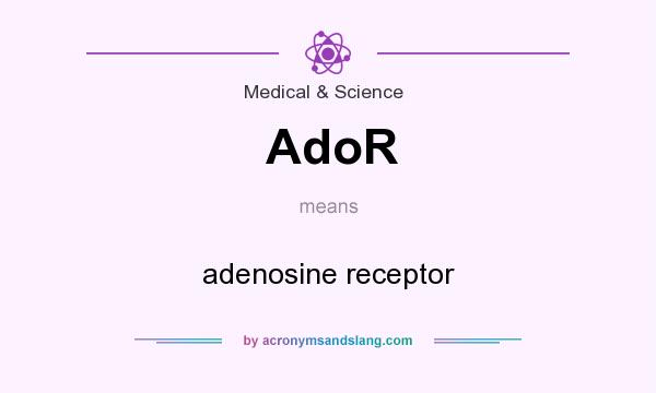 What does AdoR mean? It stands for adenosine receptor