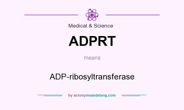 What does ADPRT mean? It stands for ADP-ribosyltransferase