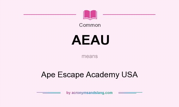 What does AEAU mean? It stands for Ape Escape Academy USA