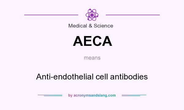 What does AECA mean? It stands for Anti-endothelial cell antibodies