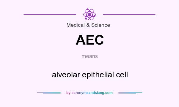 What does AEC mean? It stands for alveolar epithelial cell