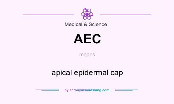 What does AEC mean? It stands for apical epidermal cap