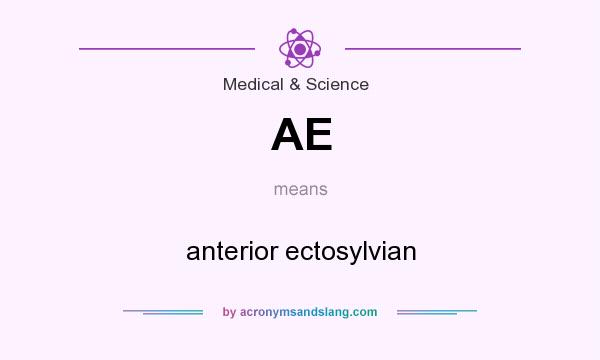 What does AE mean? It stands for anterior ectosylvian