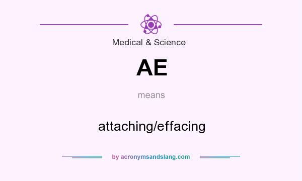 What does AE mean? It stands for attaching/effacing