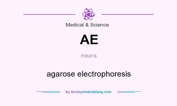 What does AE mean? It stands for agarose electrophoresis