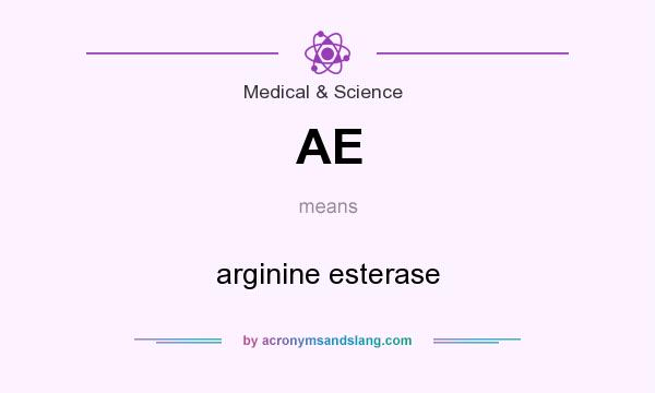 What does AE mean? It stands for arginine esterase