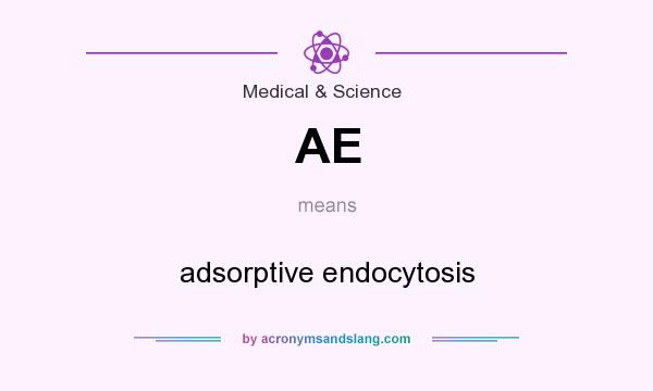 What does AE mean? It stands for adsorptive endocytosis