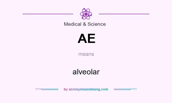 What does AE mean? It stands for alveolar