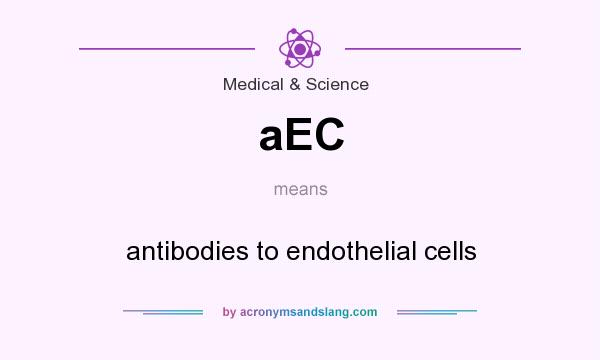 What does aEC mean? It stands for antibodies to endothelial cells