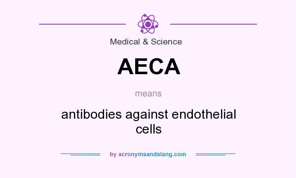 What does AECA mean? It stands for antibodies against endothelial cells