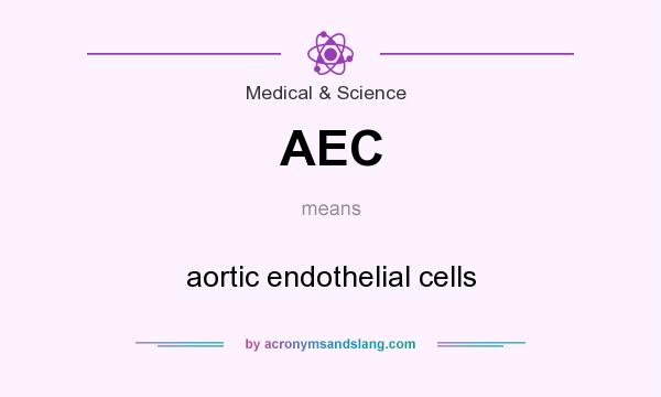What does AEC mean? It stands for aortic endothelial cells