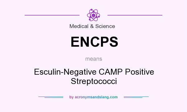 What does ENCPS mean? It stands for Esculin-Negative CAMP Positive Streptococci
