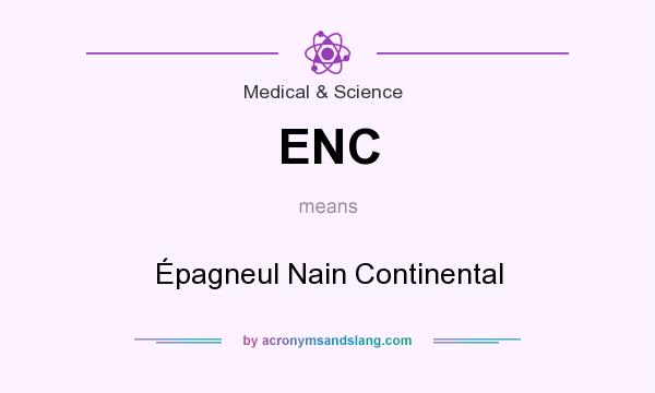What does ENC mean? It stands for Épagneul Nain Continental