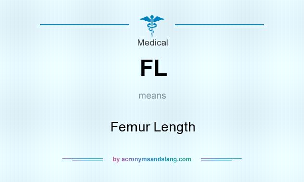 What does FL mean? It stands for Femur Length