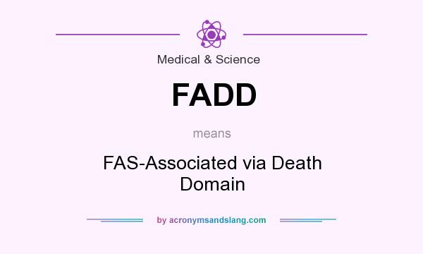 What does FADD mean? It stands for FAS-Associated via Death Domain