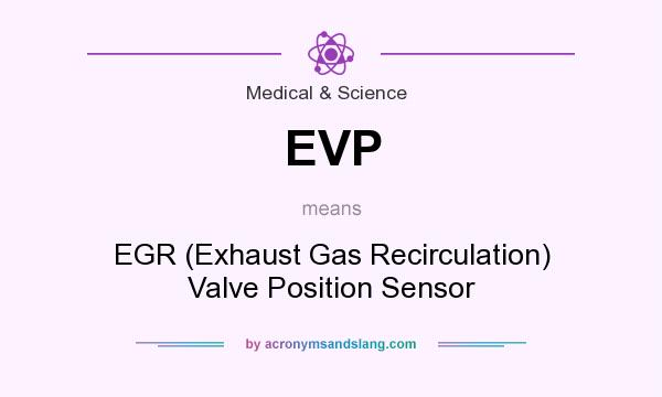 What does EVP mean? It stands for EGR (Exhaust Gas Recirculation) Valve Position Sensor