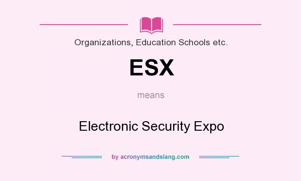 What does ESX mean? It stands for Electronic Security Expo